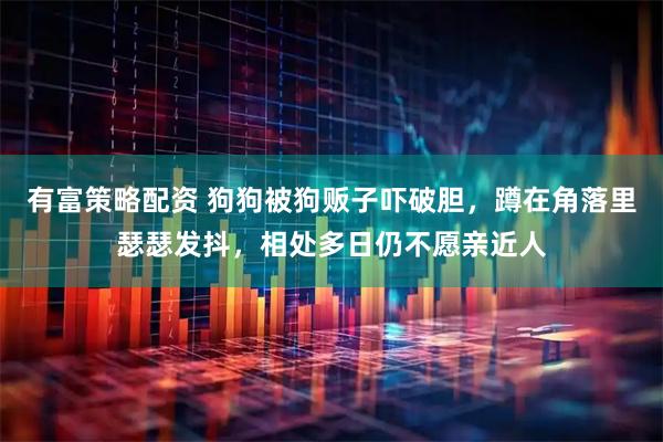 有富策略配资 狗狗被狗贩子吓破胆，蹲在角落里瑟瑟发抖，相处多日仍不愿亲近人