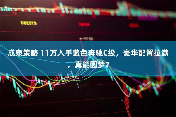 成泉策略 11万入手蓝色奔驰C级，豪华配置拉满，真能圆梦？
