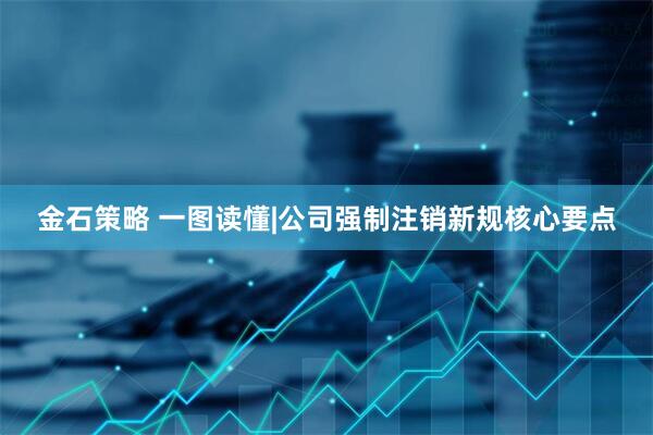 金石策略 一图读懂|公司强制注销新规核心要点