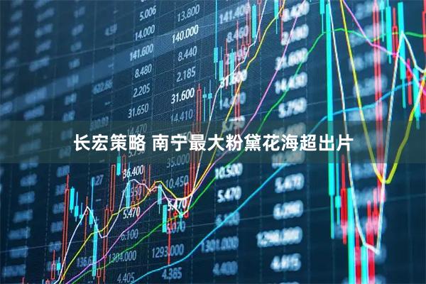 长宏策略 南宁最大粉黛花海超出片