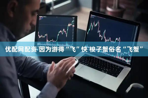 优配网配资 因为游得“飞”快 梭子蟹俗名“飞蟹”