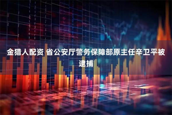 金猎人配资 省公安厅警务保障部原主任辛卫平被逮捕