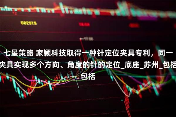 七星策略 家颖科技取得一种针定位夹具专利,同一夹具实现多个方向、角度的针的定位_底座_苏州_包括